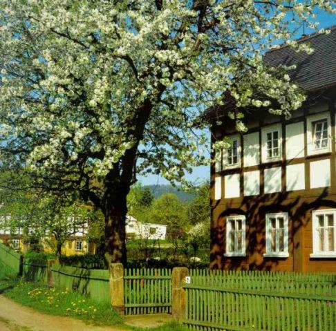 Umgebindehaus im Frühling in Bertsdorf 
