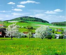 Frühling: Blick ber Bertsdorf auf den Breiteberg