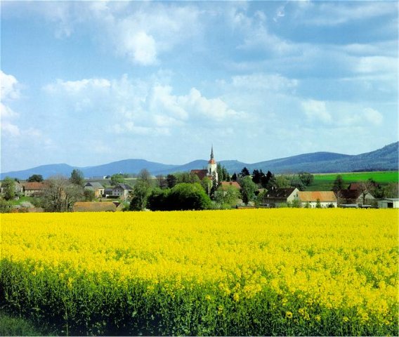 Blick über Bertsdorf auf das Zittauer Gebirge